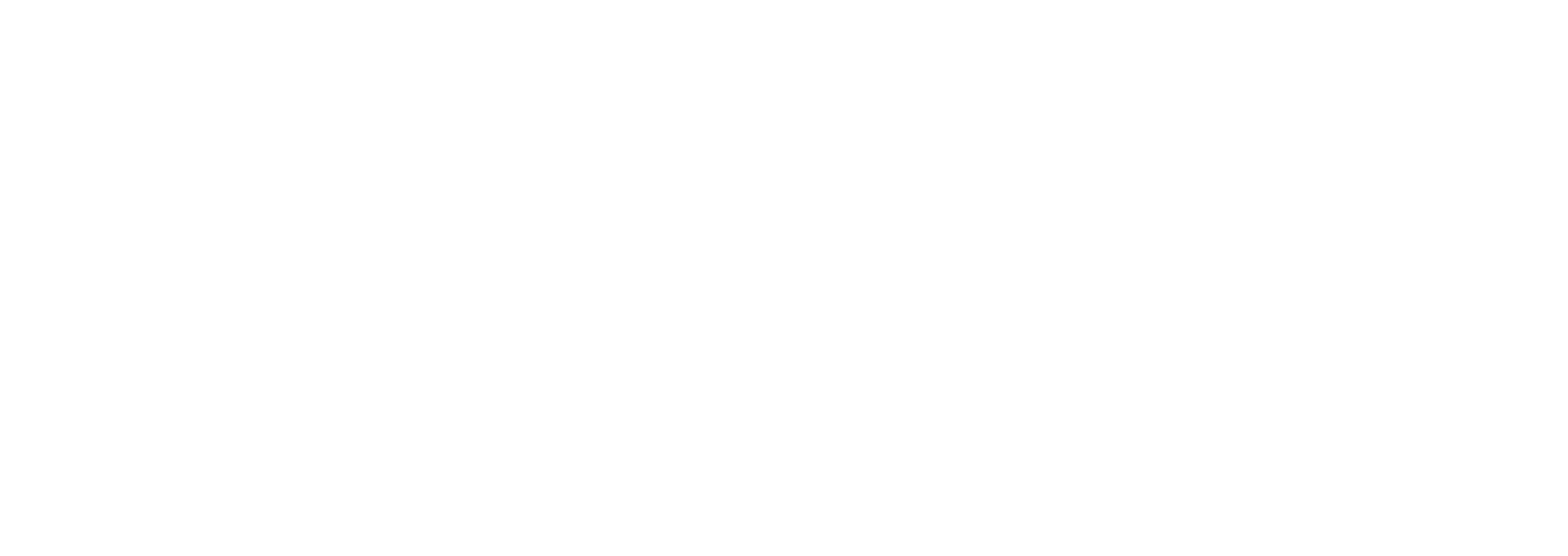 TRIPLA Logo